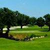 Shady Oaks CC - Par 3