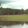 Wood Hollow GC