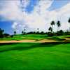 Palmas del Mar Country Club - The Palm Course