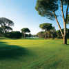Queen at Cornelia GC