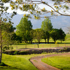 Cove View GC