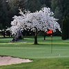 Snoqualmie Falls GC