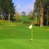 Putaruru GC: #8