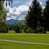 Birchbank GC:#8