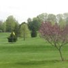 Rolling Turf GC: #7
