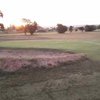 Harry Mwaanga GC