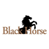 BlackHorse at Bayonet/Black Horse Golf Course Logo