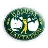 Halifax Plantation Logo