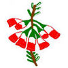 Bredasdorp Golf Club Logo