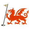 Borth and Ynyslas Golf Club Logo