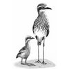 Magnetic Island Country Golf Club Logo