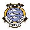 Nefyn and District Golf Club - The Old Course Logo