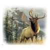 Latrobe Elks Golf Club Logo