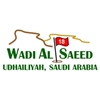 Wadi Al Saeed Golf Club Logo
