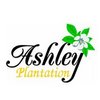 Ashley Plantation Country Club - Orchards Course Logo
