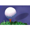 SkyRidge Golf Course Logo