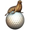 Henties Bay Golf Village Logo