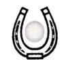Dudmoor Farm Riding School & Golf Course Logo