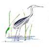 Ocean Meadows Golf Club Logo