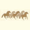 Springs Ranch Golf Club Logo