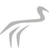 Golf Club of the Limberlost Logo