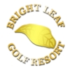 Eighteen Hole at Bright Leaf Golf Resort Logo