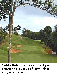 Robin Nelson: Hawaii Designs