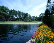 Championship Golf in Atlanta