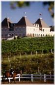 Chateau Elan
