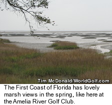 Amelia River Golf Club