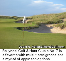 Ballyneal Golf and Hunt Club - hole 7
