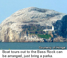 Bass Rock