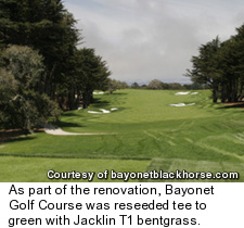Bayonet Golf Course - No. 10