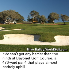 Bayonet Golf Course - No. 9