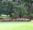Caledonia Golf and Fish Club
