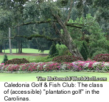 Caledonia Golf and Fish Club