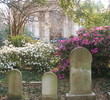 Charleston - Graveyard