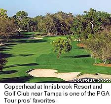 Copperhead course - Westin Innisbrook Resort