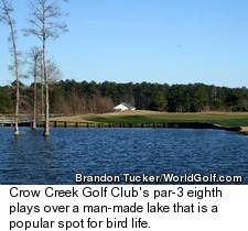 Crow Creek Golf Club in Calabash - No. 8