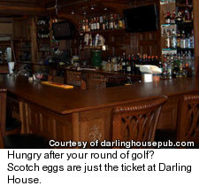 Darling House Pub