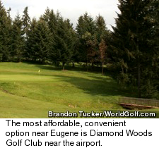 Diamond Woods Golf Club - No. 11