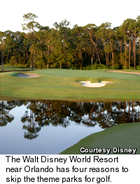 Disney Mickey Mouse Bunker