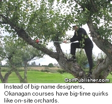 Harvest Golf Club - Apple Tree Swing