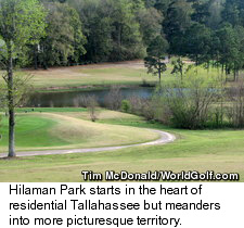 Hillman Park