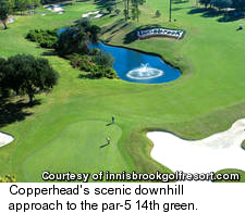 Innisbrook Resort's Copperhead Course - No. 14