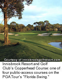 Innisbrook's Copperhead Golf Course - Hole 15