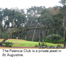The Palencia Club