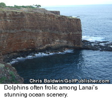 Lanai - Dolphins