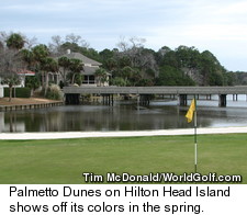 Palmetto Dunes Golf Course