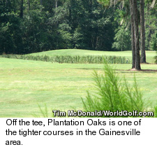 Plantation Oaks